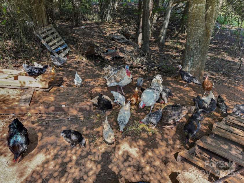 250 Circus Trail, Forest City, NC 28043.  MLS# CAR4300155, YatesRealty ID 1327. 