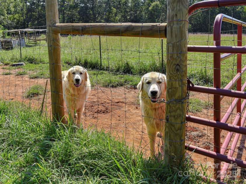 250 Circus Trail, Forest City, NC 28043.  MLS# CAR4300155, YatesRealty ID 1327. 