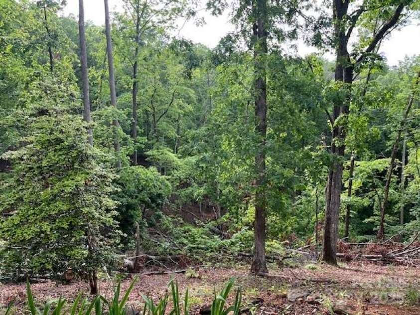 137 Amys Ridge Road, Lake Lure, NC 28746.  MLS# CAR4254449, YatesRealty ID 133. 