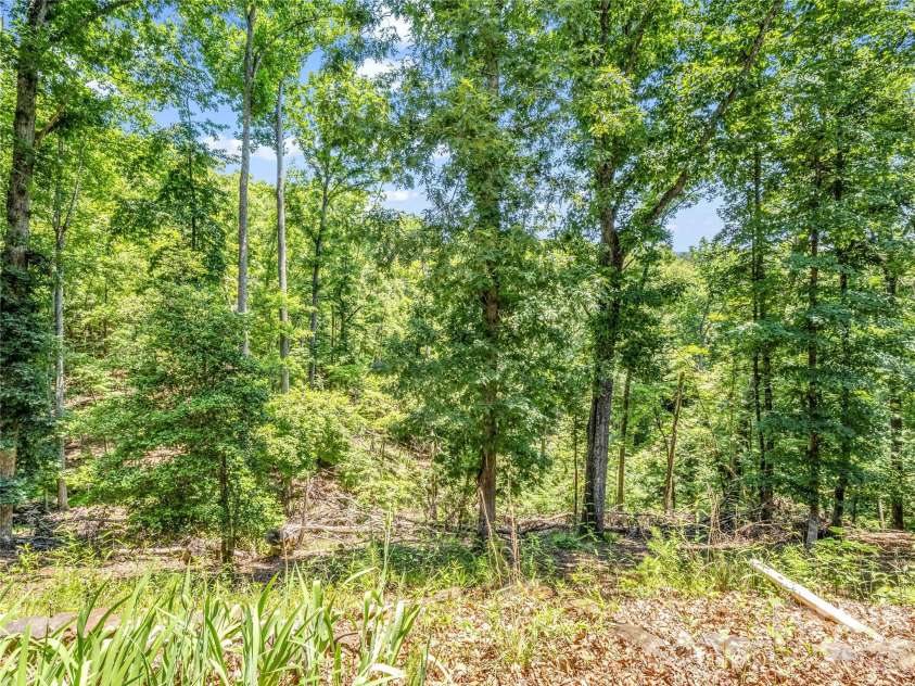 137 Amys Ridge Road, Lake Lure, NC 28746.  MLS# CAR4391704, YatesRealty ID 133. Wood Back Yard