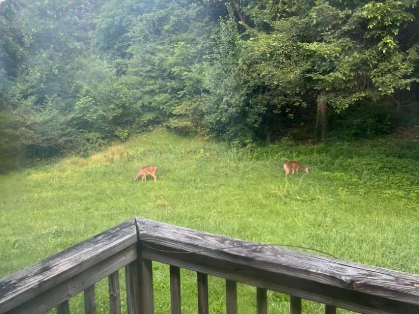 1674 Froebe Drive, Lancaster, SC 29720.  MLS# CAR4300564, YatesRealty ID 1330. 