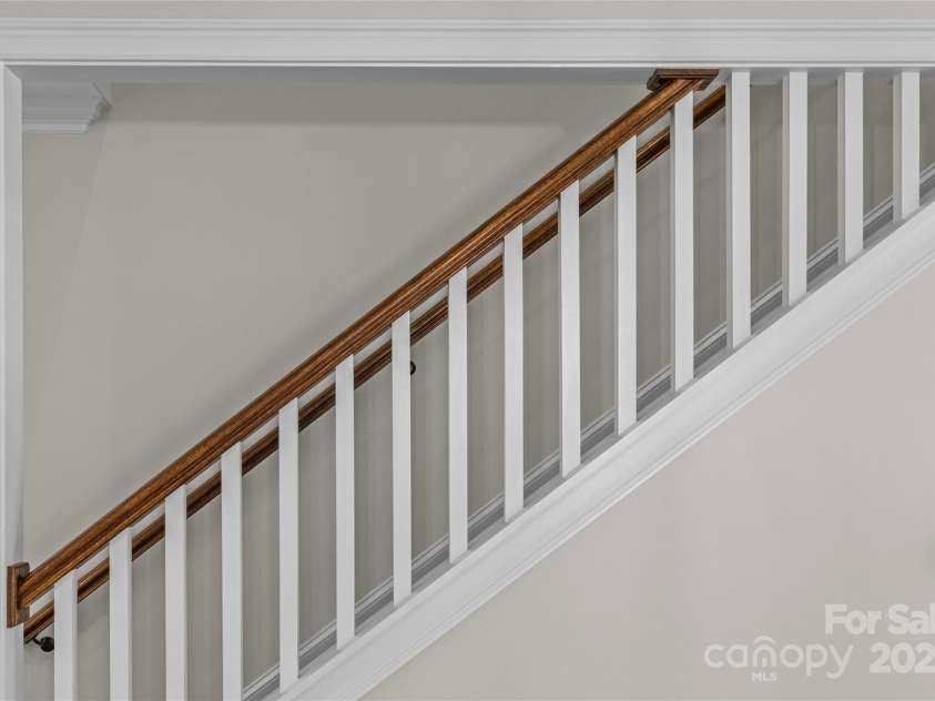 1241 Rollins Avenue, Charlotte, NC 28205.  MLS# CAR4257821, YatesRealty ID 13323. 