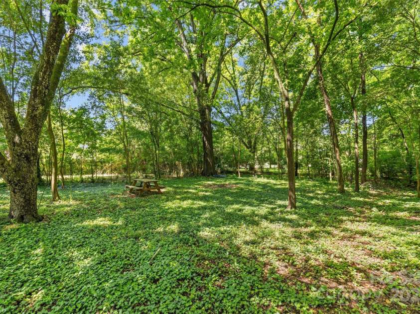 1241 Rollins Avenue, Charlotte, NC 28205.  MLS# CAR4257821, YatesRealty ID 13323. 