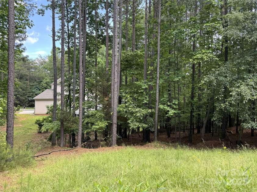 220 Kenway Loop, Mooresville, NC 28117.  MLS# CAR4231089, YatesRealty ID 13351. Looking at back of house from upper yard.