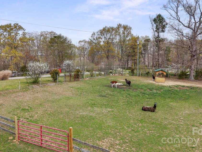 1620 London Road, Mooresville, NC 28115.  MLS# CAR4281112, YatesRealty ID 13387. Great grazing area for barn animals.