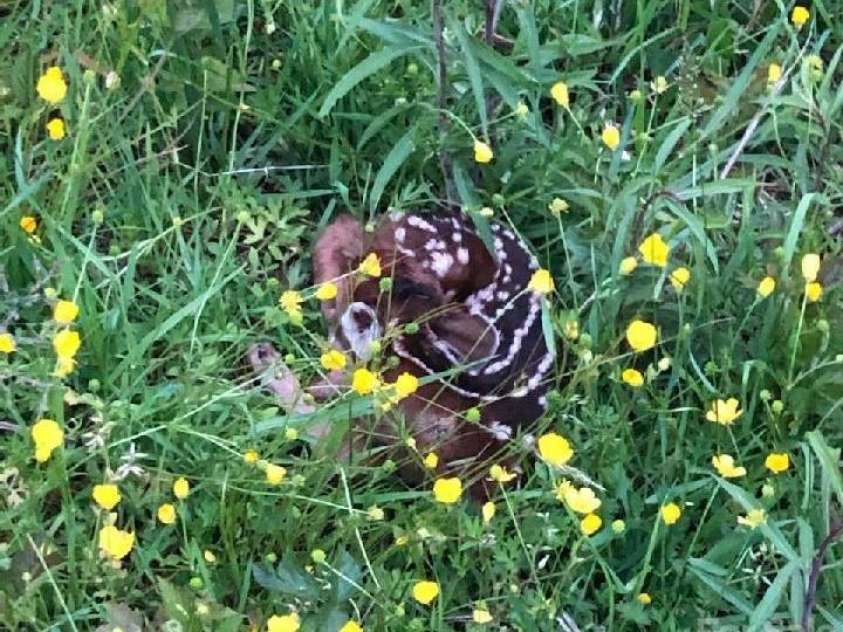 3 Pond Road Circle, Asheville, NC 28806.  MLS# CAR4056323, YatesRealty ID 13389. 