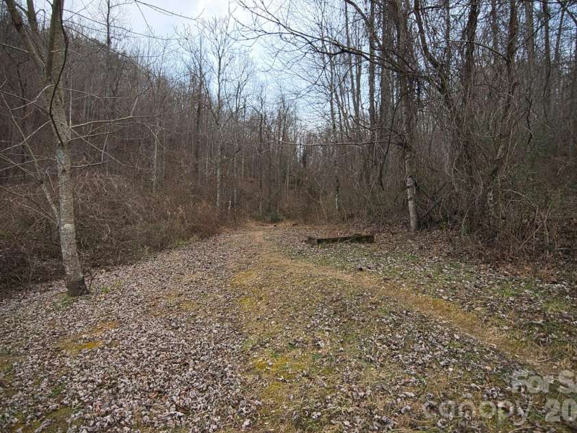 5712 Holbert Cove Road, Saluda, NC 28773.  MLS# CAR4332777, YatesRealty ID 13411. 
