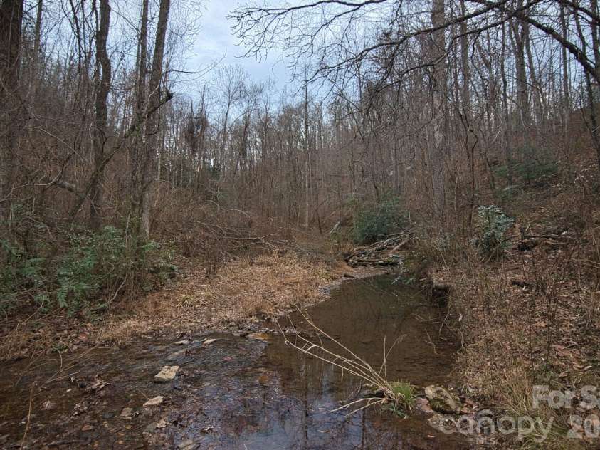 5712 Holbert Cove Road, Saluda, NC 28773.  MLS# CAR4332777, YatesRealty ID 13411. 