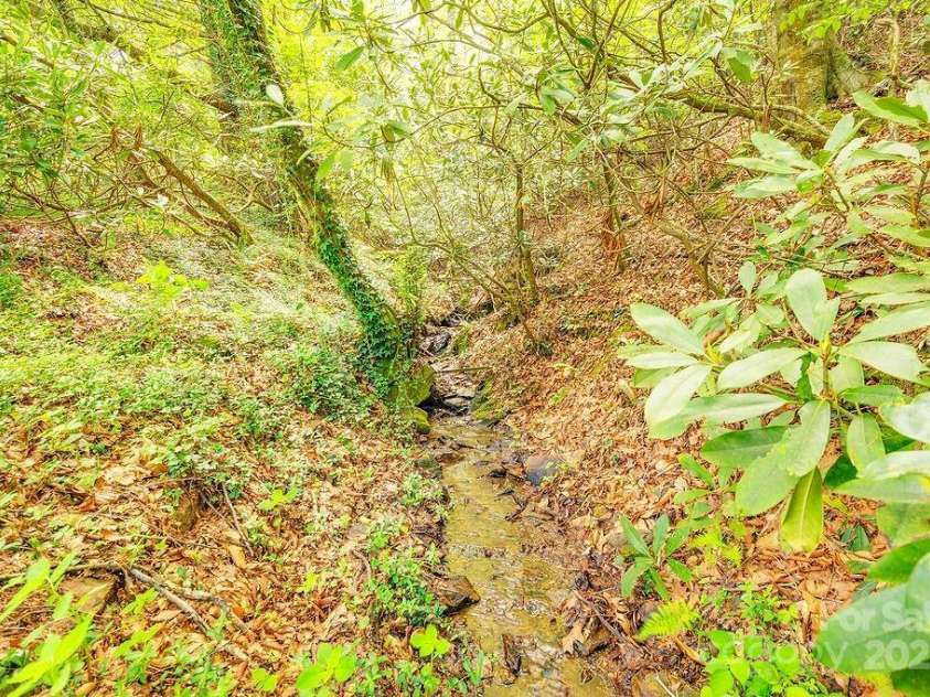 2102 Walnut CreeK Road, Marshall, NC 28753.  MLS# CAR4235544, YatesRealty ID 13420. Spring