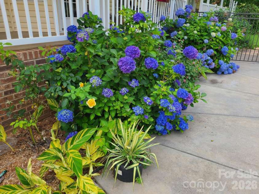 1804 Riva Ridge Court, York, SC 29745.  MLS# CAR4361384, YatesRealty ID 13427. 