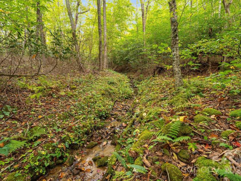 191 Ivy Way, Mars Hill, NC 28754.  MLS# CAR4308782, YatesRealty ID 1344. 