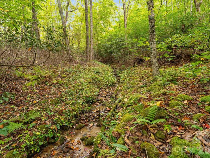 191 Ivy Way, Mars Hill, NC 28754.  MLS# CAR4308782, YatesRealty ID 1344. Your own private woods.