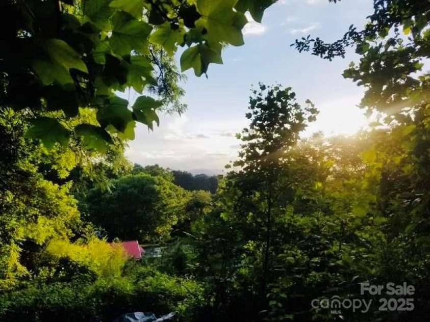 427 Weaverville Road, Asheville, NC 28804.  MLS# CAR4192228, YatesRealty ID 13458. Views from upper lot