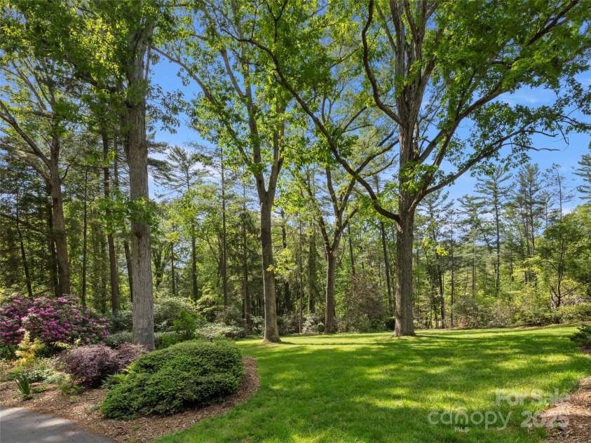 316 Vanderbilt Road, Asheville, NC 28803.  MLS# CAR4258153, YatesRealty ID 13479. 