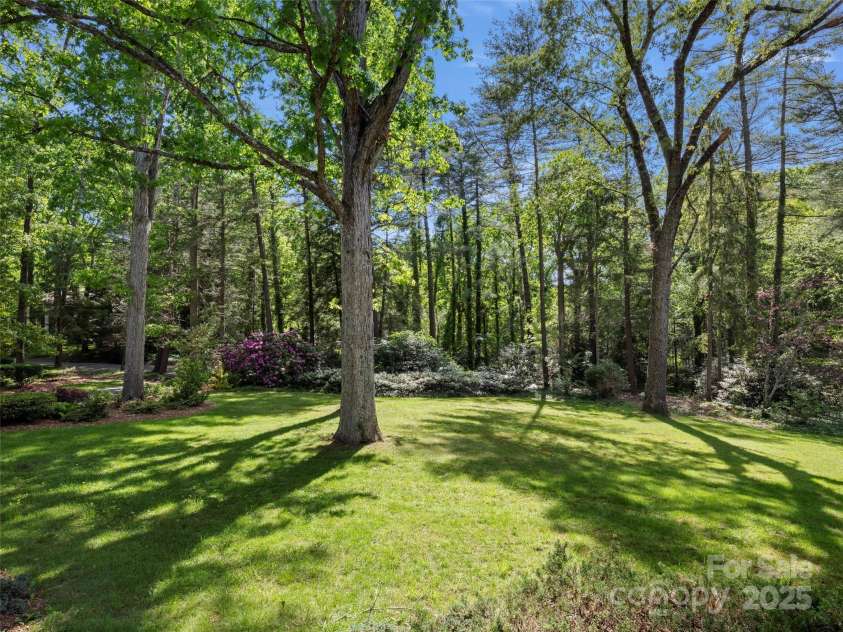 316 Vanderbilt Road, Asheville, NC 28803.  MLS# CAR4258153, YatesRealty ID 13479. 