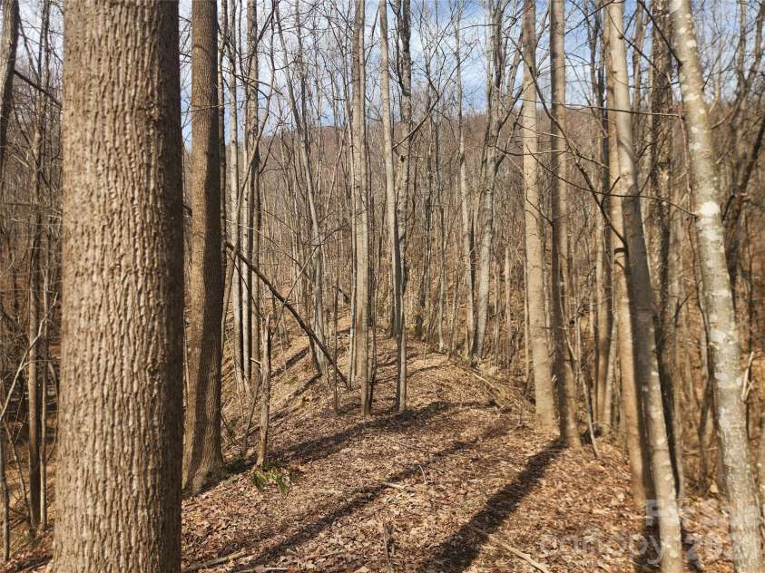 363 Center Church Road, Hiddenite, NC 28636.  MLS# CAR4353871, YatesRealty ID 13479. 