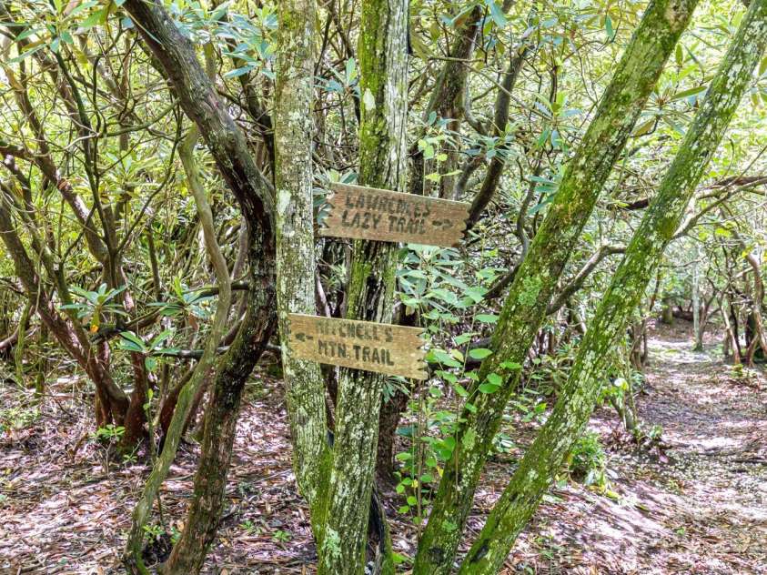 26 Upper Ridge Road, Black Mountain, NC 28711.  MLS# CAR4274378, YatesRealty ID 1352. Hiking trails on property! 