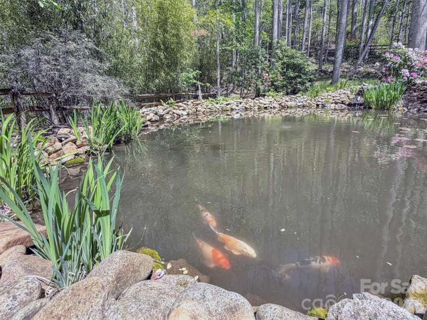 211 Rustic Road, Waynesville, NC 28786.  MLS# CAR4371760, YatesRealty ID 13537. Many Beautiful Koi