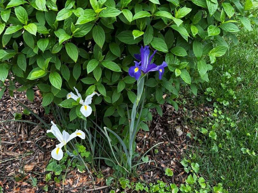 57 Stonebridge Drive, Asheville, NC 28805.  MLS# CAR4216613, YatesRealty ID 13561. 