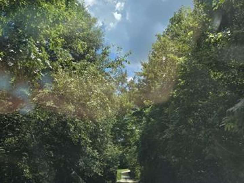 1044 Elliott Road, Rutherfordton, NC 28139.  MLS# CAR4331223, YatesRealty ID 1360. 