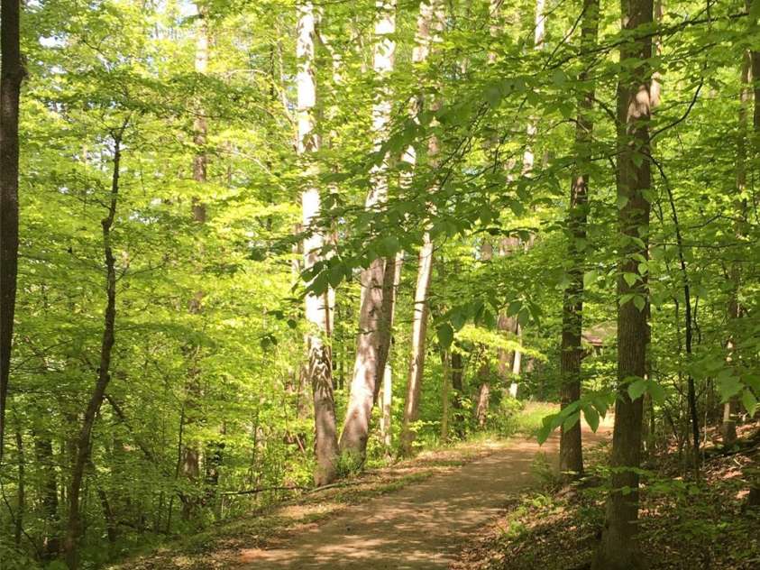 117 High Rock Court, Statesville, NC 28677.  MLS# CAR4235601, YatesRealty ID 13604. Walking Trail