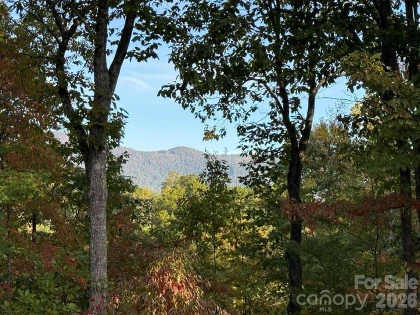 160 Caledonia Road, Landrum, SC 29356.  MLS# CAR4314636, YatesRealty ID 13619. 