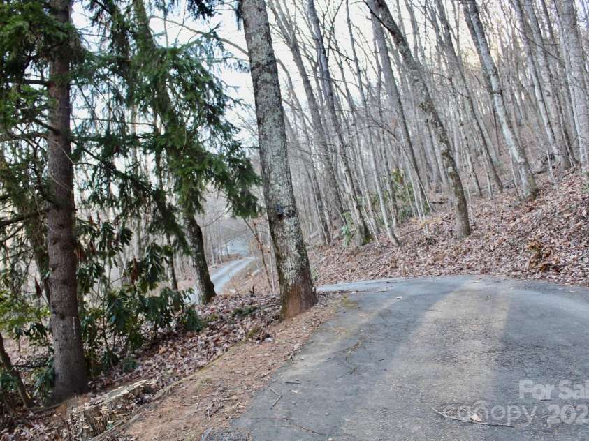 141 Charity Lane, Candler, NC 28715.  MLS# CAR4204175, YatesRealty ID 1364. Paved driveway to back of home