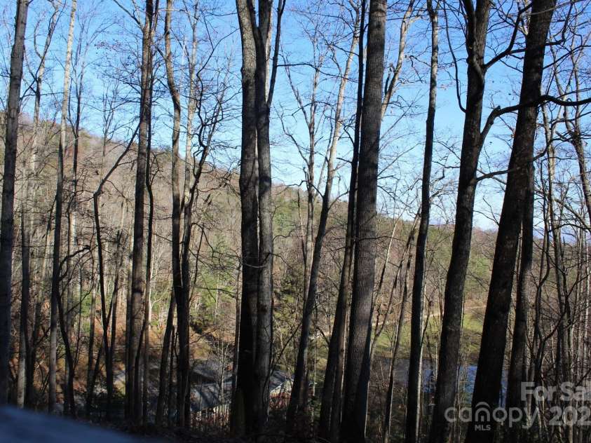 141 Charity Lane, Candler, NC 28715.  MLS# CAR4204175, YatesRealty ID 1364. View from Porch