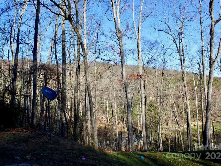 141 Charity Lane, Candler, NC 28715.  MLS# CAR4204175, YatesRealty ID 1364. Views from yard