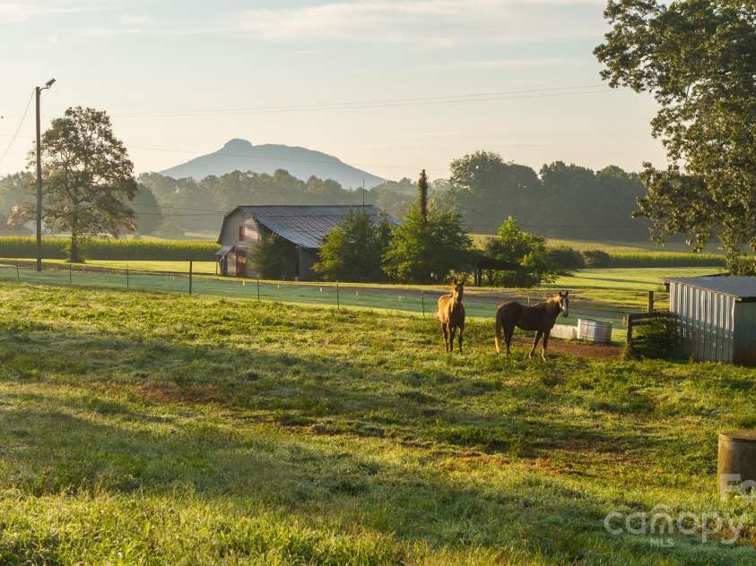 167 Buck Hollow Trail, Ararat, NC 27007.  MLS# CAR4295115, YatesRealty ID 1365. 