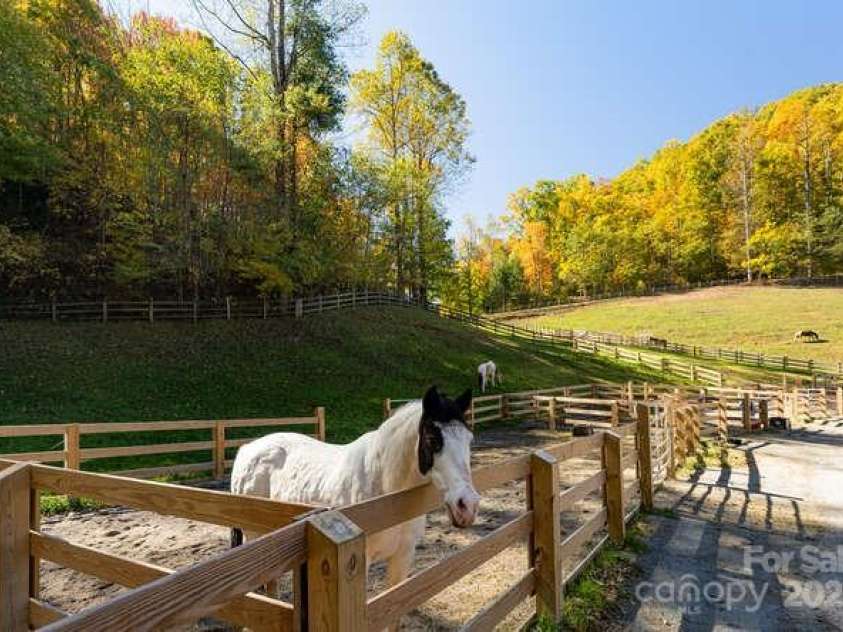 131 Lodestone Drive, Sylva, NC 28779.  MLS# CAR4330421, YatesRealty ID 1366. 