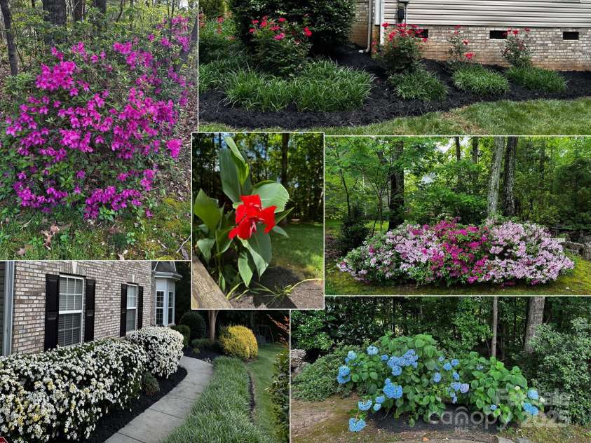 821 Lynnwood Farms Drive, Fort Mill, SC 29715.  MLS# CAR4234073, YatesRealty ID 13664. Flowers Bloom Year Round