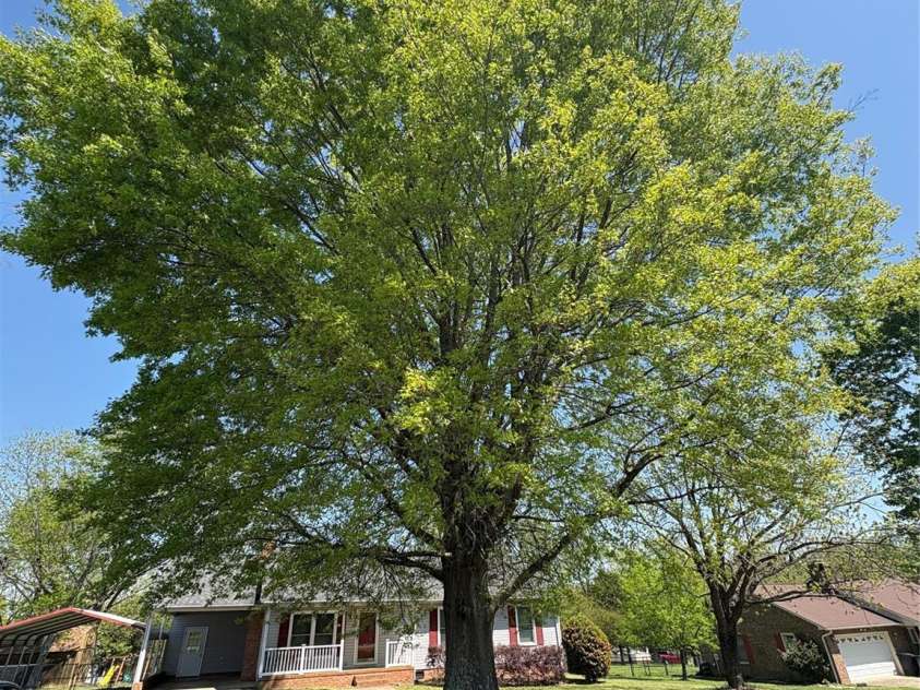 107 Plumtree Drive, Kings Mountain, NC 28086.  MLS# CAR4247144, YatesRealty ID 13686. 