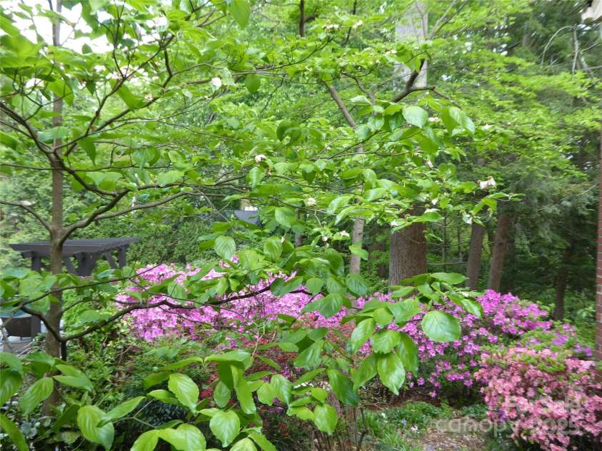 2815 Glendale Road, Charlotte, NC 28209.  MLS# CAR4234414, YatesRealty ID 13694. 