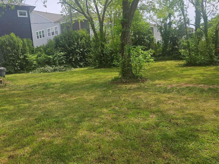1040 Drummond Avenue, Charlotte, NC 28205.  MLS# CAR4363982, YatesRealty ID 13710. 