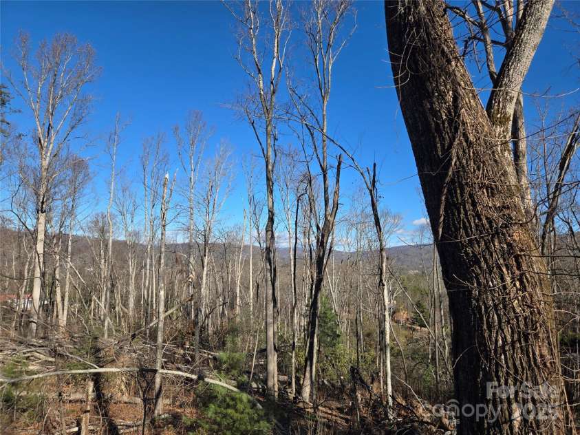 211 Holly Mountain Lane, Fletcher, NC 28732.  MLS# CAR4332699, YatesRealty ID 13714. View 1