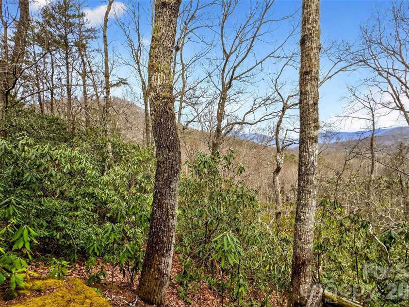 169 Hilltop Road, Black Mountain, NC 28711.  MLS# CAR4359023, YatesRealty ID 13719. 