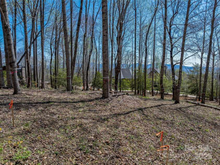 96 Split Rock Trail, Arden, NC 28704.  MLS# CAR4239845, YatesRealty ID 13723. 