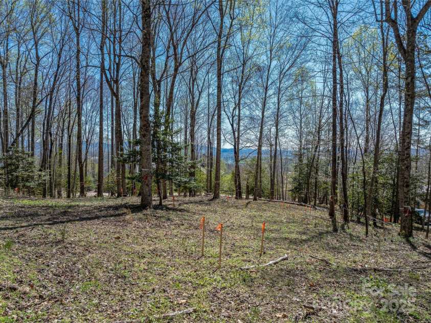 96 Split Rock Trail, Arden, NC 28704.  MLS# CAR4239845, YatesRealty ID 13723. 