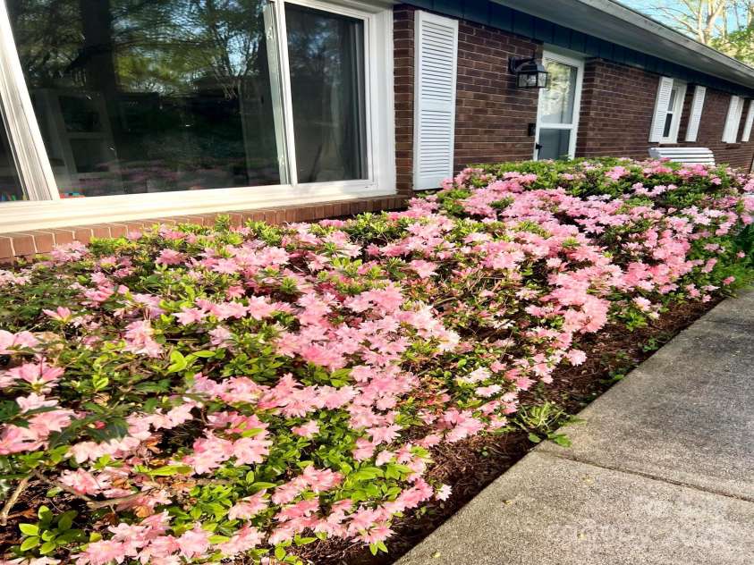 2044 Glenheath Drive, Hendersonville, NC 28791.  MLS# CAR4256090, YatesRealty ID 13744. Spring azaleas