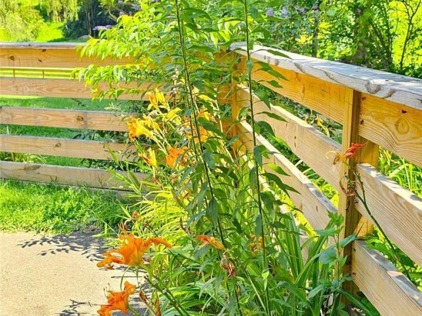 5 Valley Drive, Weaverville, NC 28787.  MLS# CAR4227304, YatesRealty ID 1376. Fence Flowers