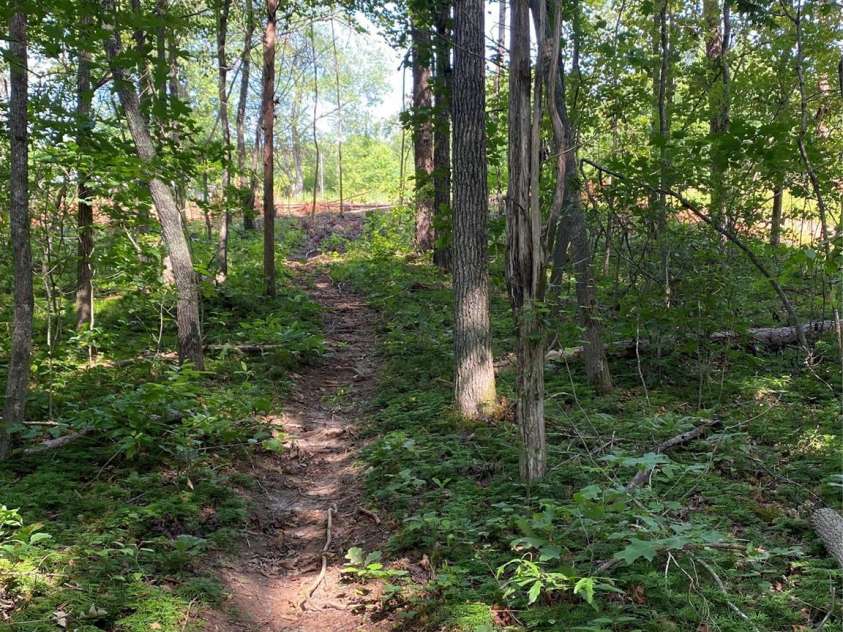 660 Pinehurst Road, Ellenboro, NC 28040.  MLS# CAR4256546, YatesRealty ID 13767. 