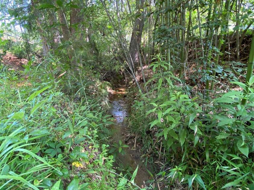 660 Pinehurst Road, Ellenboro, NC 28040.  MLS# CAR4256546, YatesRealty ID 13767. 