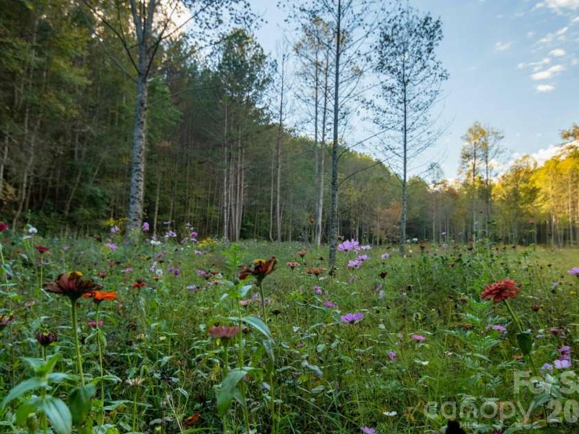 2108 River Hill Road, Murphy, NC 28906.  MLS# CAR4372151, YatesRealty ID 13866. 