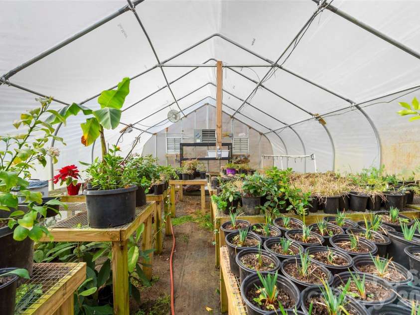 1105 Griffin Branch Road, Marshall, NC 28753.  MLS# CAR4363034, YatesRealty ID 13888. Plants, glorious plants! 