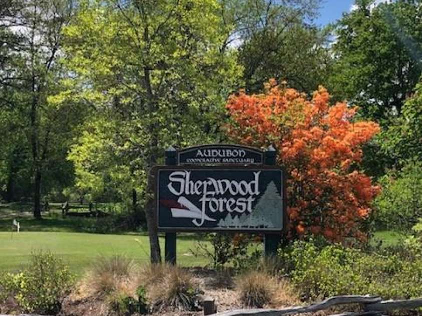 218 Frazier Road, Brevard, NC 28712.  MLS# CAR4229177, YatesRealty ID 13894. 