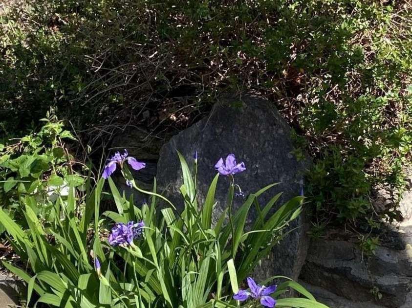 1172 Conner Road, Lake Lure, NC 28746.  MLS# CAR4159549, YatesRealty ID 139. 