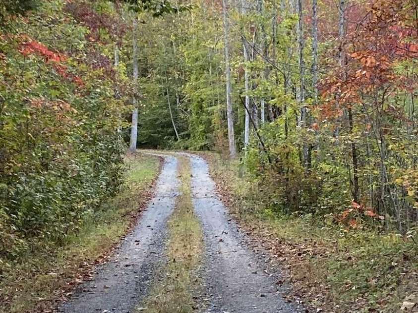 1172 Conner Road, Lake Lure, NC 28746.  MLS# CAR4159549, YatesRealty ID 139. 