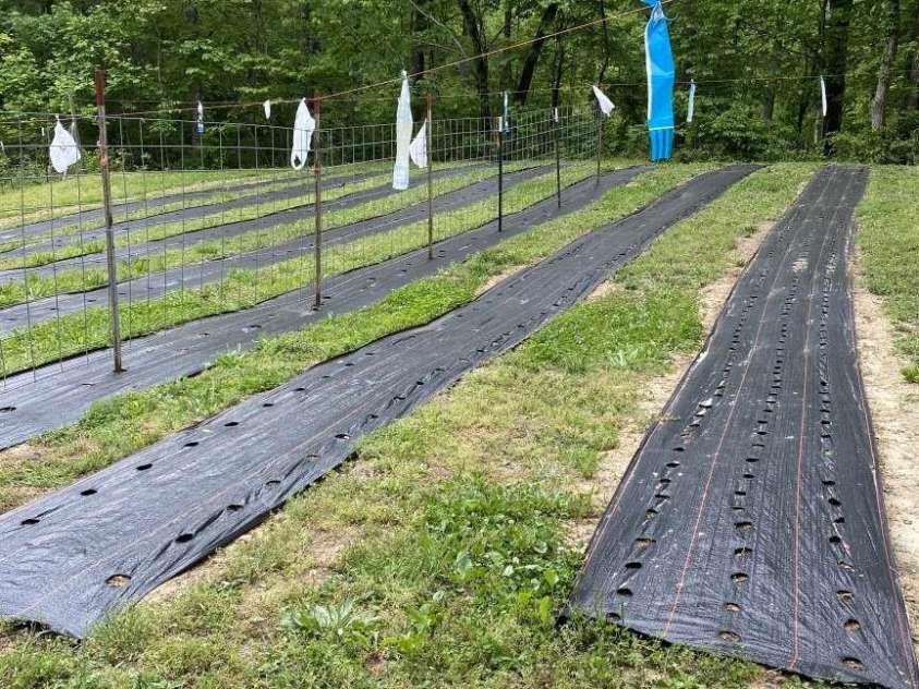 1172 Conner Road, Lake Lure, NC 28746.  MLS# CAR4159549, YatesRealty ID 139. 