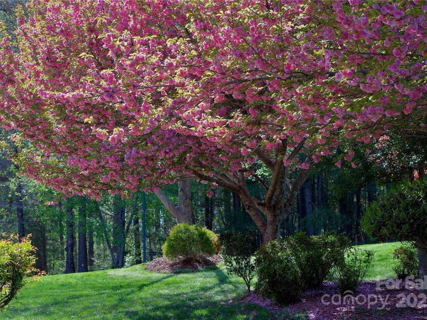 5342 Beacon Ridge Drive, Granite Falls, NC 28630.  MLS# CAR4254480, YatesRealty ID 13902. 